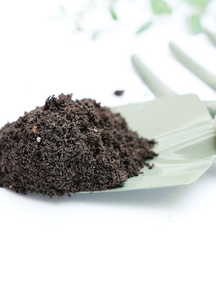 Humus de Lombriz todo lo que necesitas saber