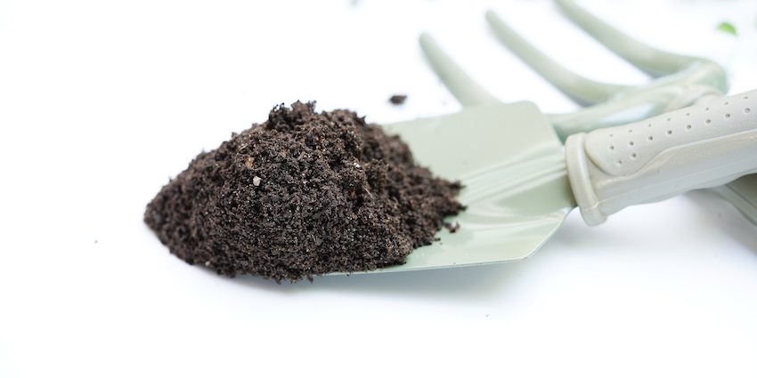 Humus de Lombriz todo lo que necesitas saber