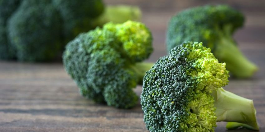 cultivarbrocolienhuertourbano Cultivar Brócoli en tu huerto urbano