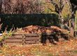 fall, meadow, leaves-3755125.jpg