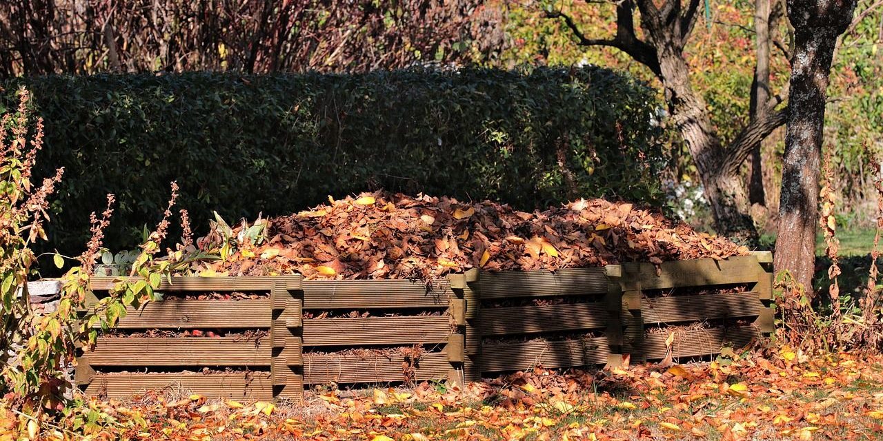 fall-meadow-leaves-3755125 fall, meadow, leaves-3755125.jpg