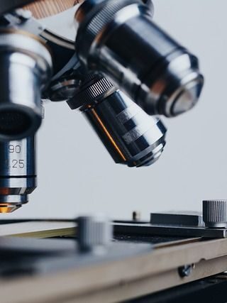 Aplicaciones medicinales de la planta  Jazmin