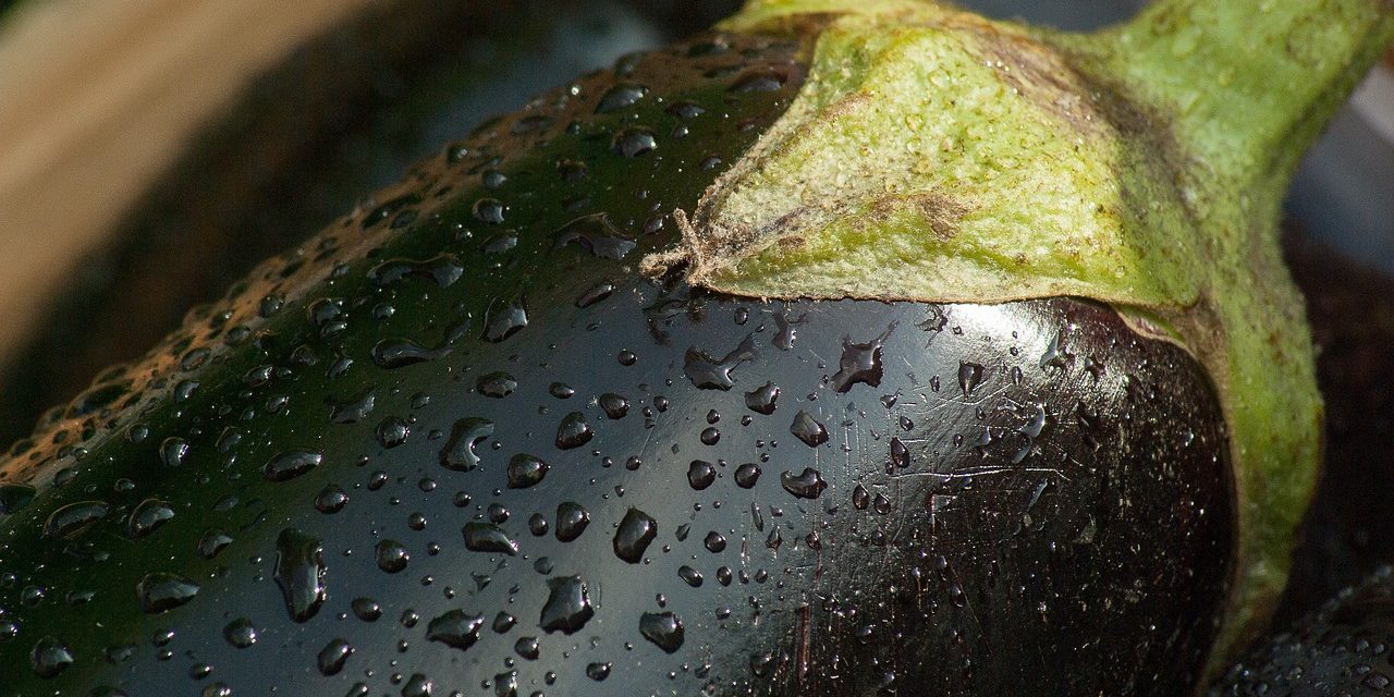 vegetable, aubergine, market-1707593.jpg