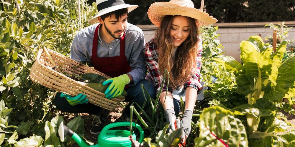 eliminar plagas de manera natural