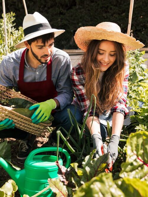 eliminar plagas de manera natural