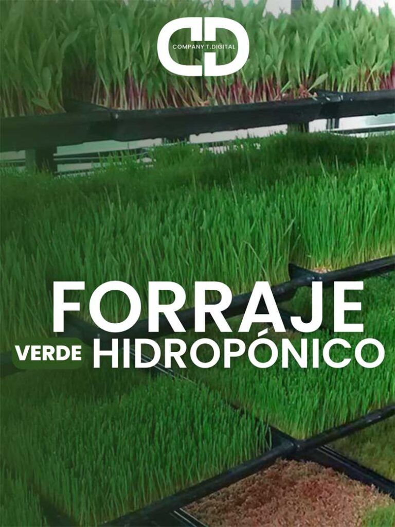 Curso de cultivo de forraje verde hidropónico