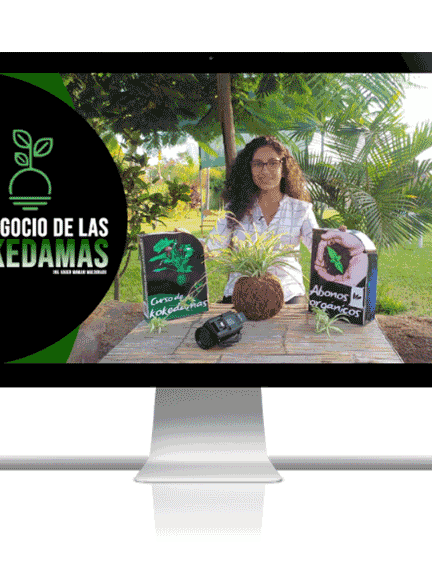 tu negocio de kokedamas en casa