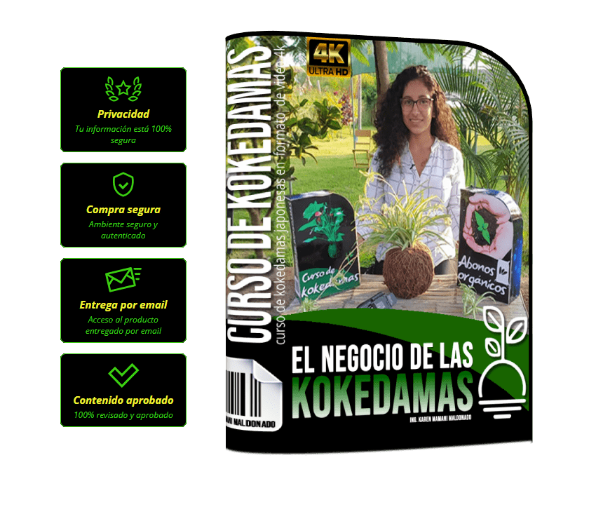 curso De Kokedamas en Casa